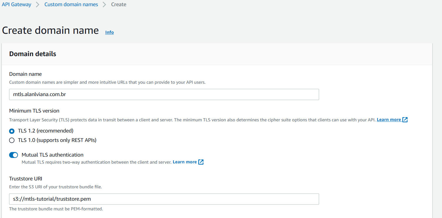 Configuração do Custom Domain Name